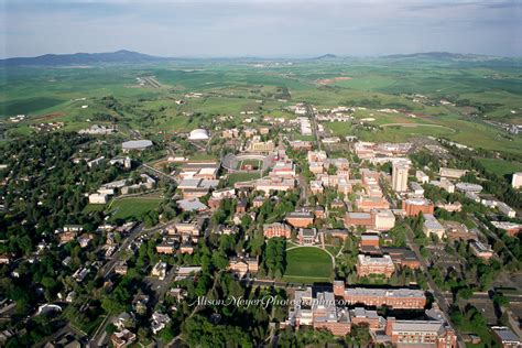 Washington State University In The Palouse Hills