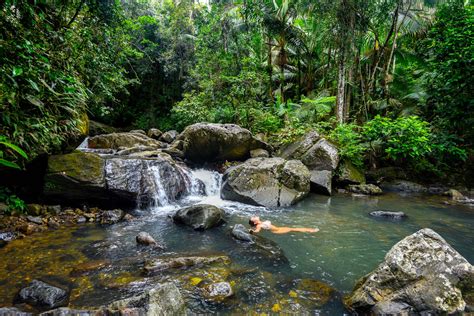 El Yunque Rainforest The Only Rainforest In The United States — No