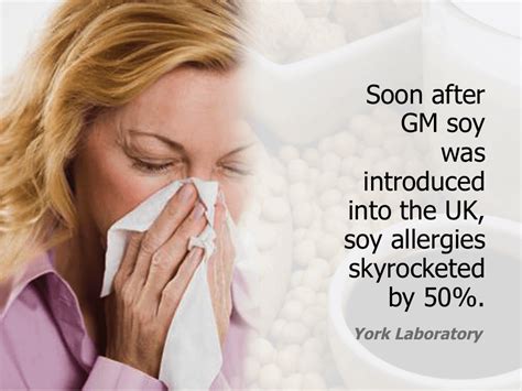 Gm Soy Allergies Genetic Literacy Project