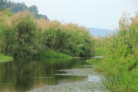 Keindahan danau rawa dapat dilihat dengan jelas dari danau di kaki bukit. Wisata Rawa Dano Serang / 10 Foto Bukit Cinta Ambarawa ...