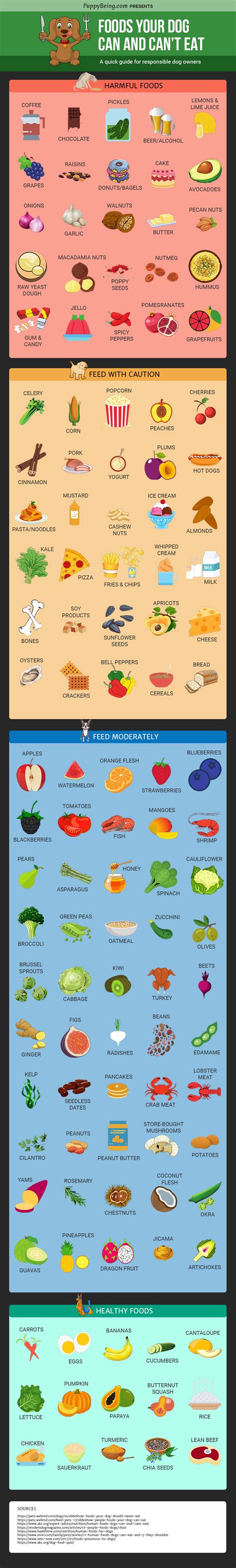 As of the moment, the specific compound or component that causes the toxicosis has not. 123 Foods Dogs Can And Can't Eat: The Definitive Guide