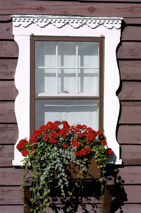 Spiller plant types and how they are used spring window box floristry tutorial artificial flowers outdoor fake spring summer window bo fake flower early spring flowers and window artificial flowers outdoor uv resistant. 26 Best Window Box Planter Ideas and Designs for 2021