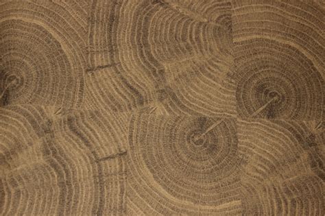 19 New Kinds Of Floor Covering