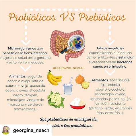 Probióticos Vs Prebióticos