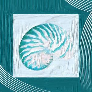 Turquoise Seashells Xvi Painting By Lourry Legarde Fine Art America