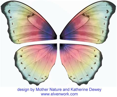 Fairy Wing Designs By Katherine Dewey Fairy Wings Wings Design Wings