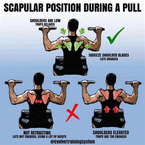 4 Lat Pull Down Exercises For A Well Built Stronger Defined Back