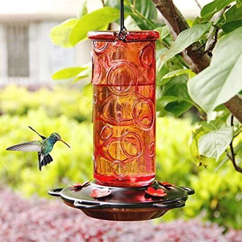 Juegoal 28 Oz Glass Hummingbird Feeders For Outdoors Wild Bird Feeder With 5 669818893480 Ebay