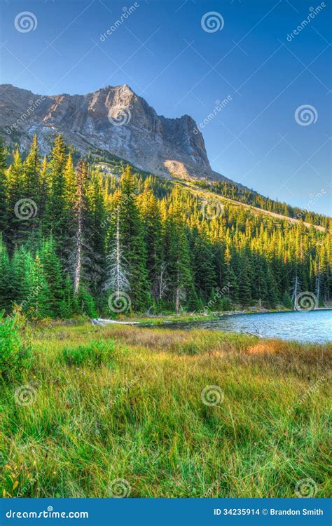Scenic Mountain Views Stock Photo Image Of Forest Colourful 34235914