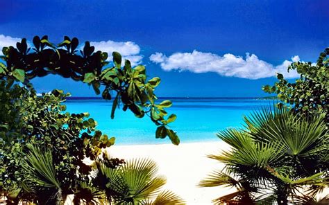 Tropical Beach Carribean Sunny Clouds Sea Beach Splendor