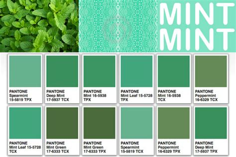 Minty Mint Trend