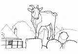 Coloring Goat Pages Goats Colorkid sketch template