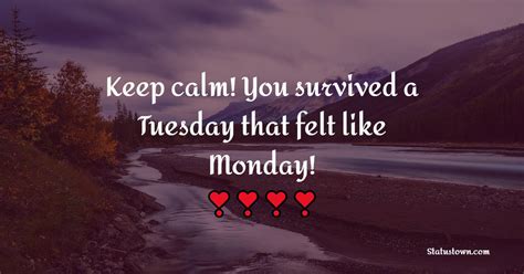 Keep Calm You Survived A Tuesday That Felt Like Monday Tuesday