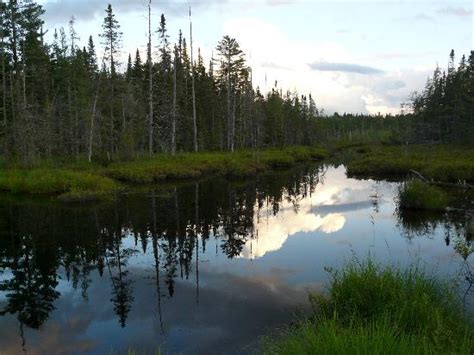 Maybe you would like to learn more about one of these? Deer Haven Cottage (Indian Lake, NY) - Cottage Reviews ...