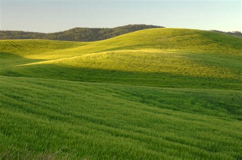 Green Grassy Hills Landscape Image Free Stock Photo Public Domain Photo CC Images