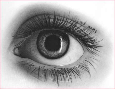Realistic Eye Pencil Drawing At Explore Collection