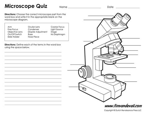 ️the Compound Light Microscope Worksheet Free Download