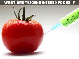 Bioengineered Foods By Patricksetiadi