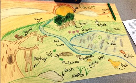 Lesson Living Biotic And Nonliving Abiotic Parts That Make Up An