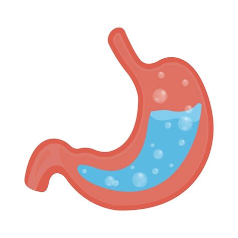 Premium Vector Vector Medical Illustration About Stomach Acid
