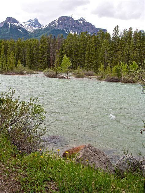 Bow River From Bow River Trail In Banff National Park Alberta Canada