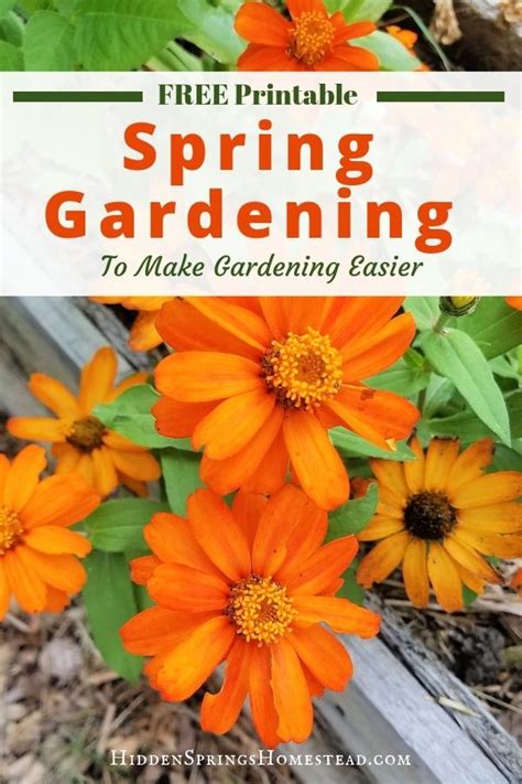 Spring Garden Checklist 14 Tips To Get Ahead Of Spring Spring