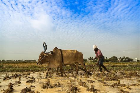 But sustainable development has the potential to lift people out of poverty and. New Findings Show How Climate Change Is Influencing India ...