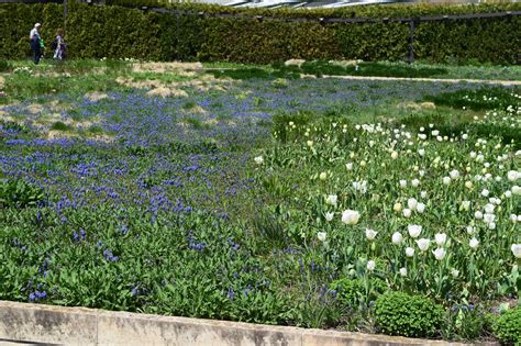 The Lurie Garden In May 2018 Gardeninacity
