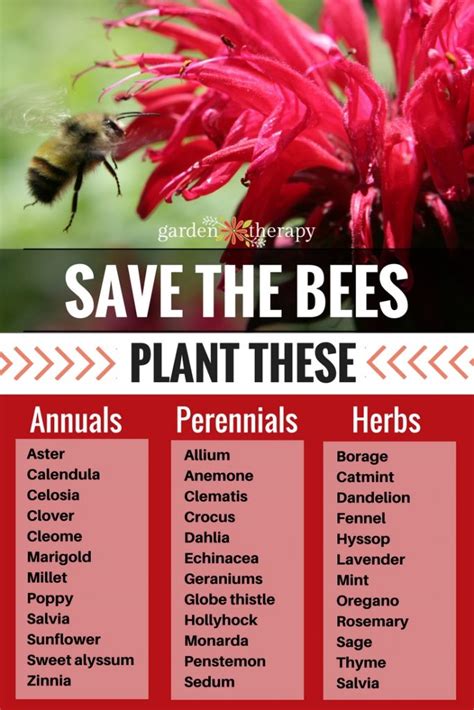 5 responses to 22 proven flowers that attract bees! Plants and Tips to Create a Bee-Friendly Garden - Garden ...