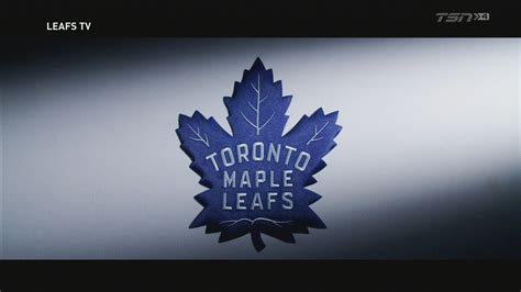 Toronto Maple Leafs Wallpaperleaflogotextfontmaple Leaftreeplant