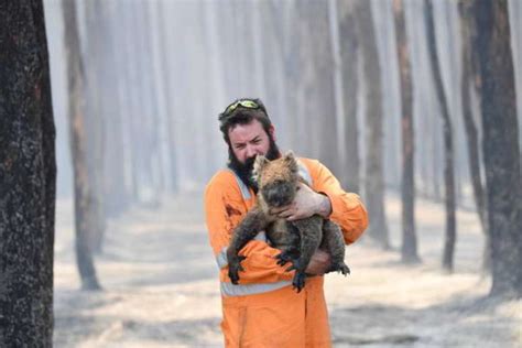 Austrália Prende 180 Pessoas Acusadas De Incêndio Doloso