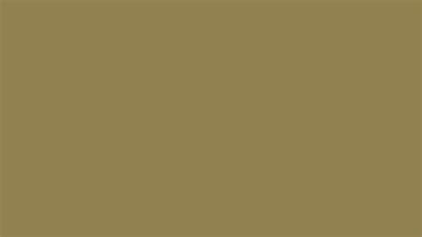 2560x1440 Dark Tan Solid Color Background