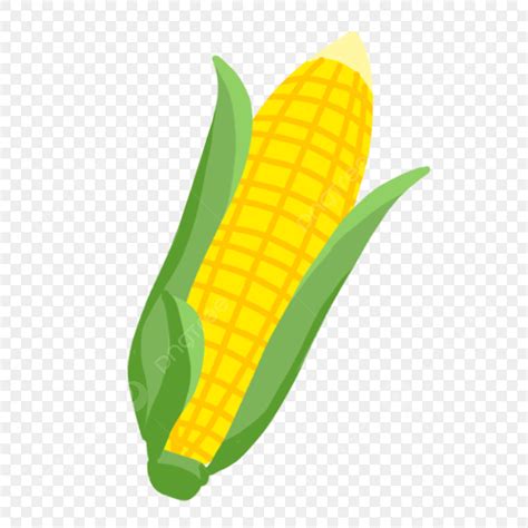 Yellow Corn Png Vector Psd And Clipart With Transparent Background