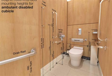 Mounting Heights For Ambulant Disabled Cubicle Toilet Design Toilet