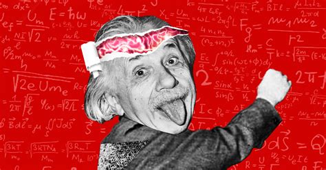 ความลับของสมองไอน์สไตน์ ที่ถูกขโมยไปนานกว่า 50 ปี bt beartai