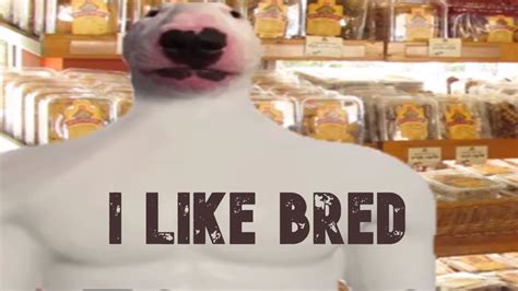 Doge Bread Store Youtube