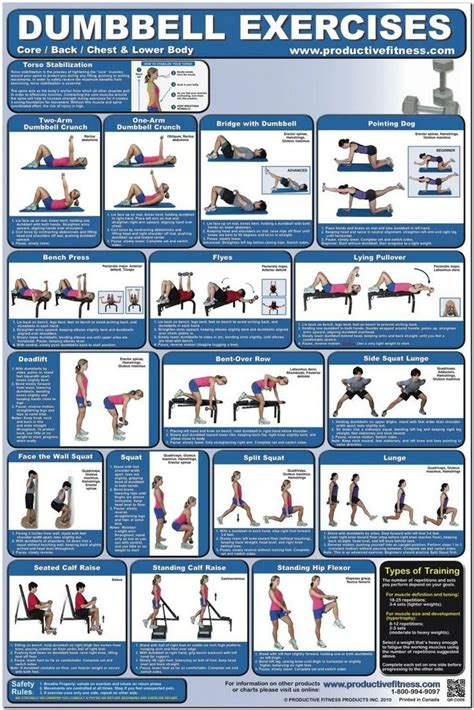 25 Images Of Weight Bench Exercises Dumbbell Workout Dumbell Workout