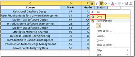 Embed Data Sheet From Excel 2010 To Word Document