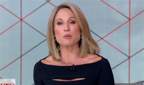 Amy Robach News Anchor Pics XHamster The Best Porn Website