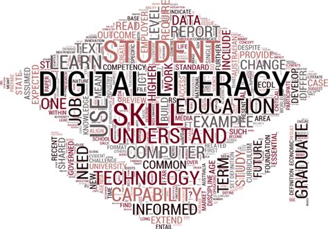Fellowship Objective - Decoding Digital Literacy