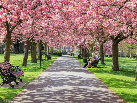 Londons Best Parks And Glorious Green Spaces Time Out London