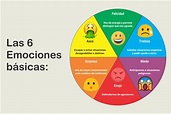Infografía 6 emociones básicas | Emociones, Aprendizaje emocional ...