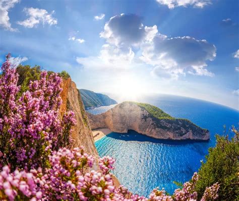 Navagio Beach With Shipwreck And Flowers Against Sunset On Zakynthos