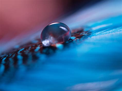 Macro Water Drop Water Drop Photography Macro Photos Photo Art