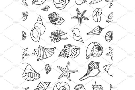 Un crayon et quelques coquillages ramassés sur la plage tu vas faire le plus joli des dessins. Sea shells collection | Coquillage dessin, Idées de ...