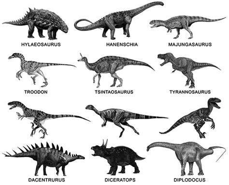 Nombres De Dinosaurios De La A A La Z Dinosaurioswiki
