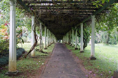Peradeniya Botanical Garden Entrance