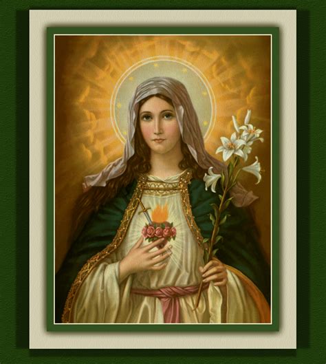 The 3 Hail Mary Novena Mother Of God