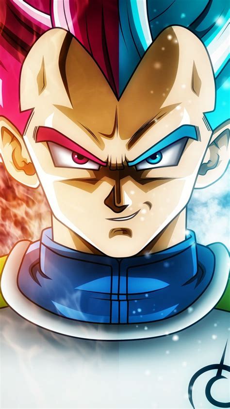 391 Best Vegeta Images On Pinterest Dragons Families And Dark Knight