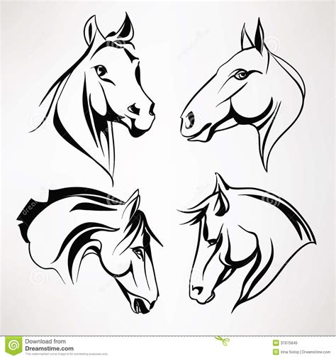 A Set Of Horse Heads Vector Illustration Royalty Free